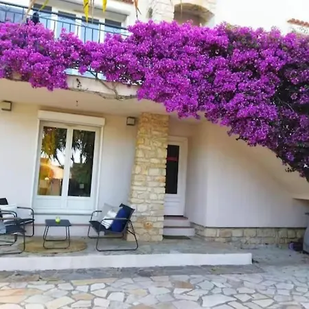 Bougainvilliers *